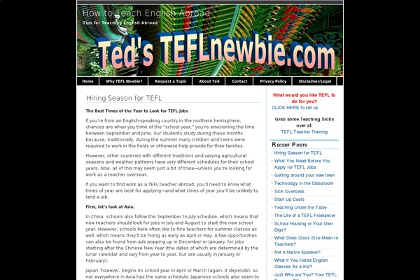 teflnewbie.com site used Blog-rider