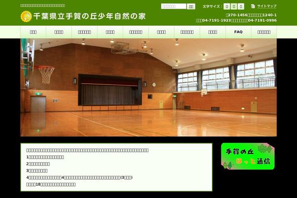 tega.jp site used Actio
