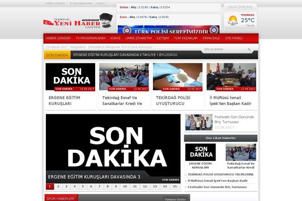 MbHaber theme websites examples