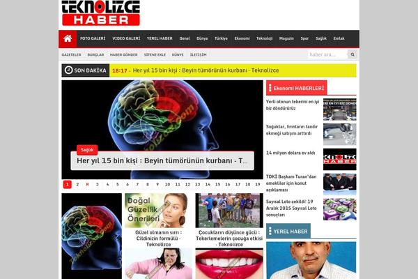 flatsense WordPress theme, websites list used flatsense theme flatsense theme websites examples