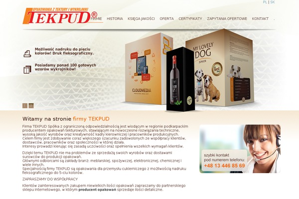 tekpud.com.pl site used Indywidualny-projekt
