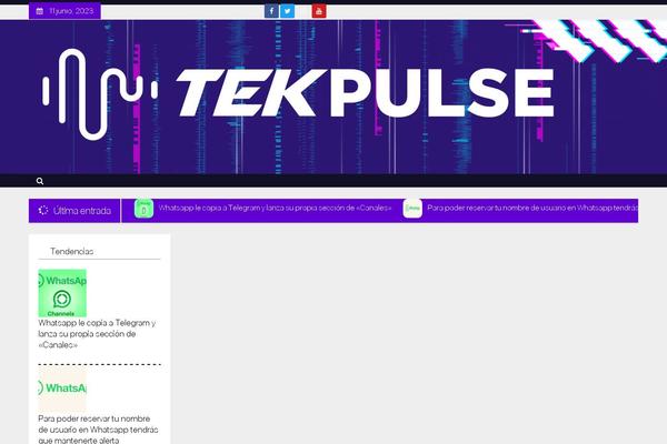 tekpulse.tv site used Newstype