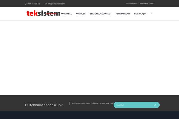 teksistem.com site used Seorocket