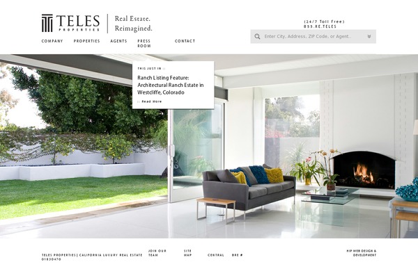 teles theme websites examples