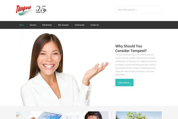 Enterprise Pro theme site design template sample