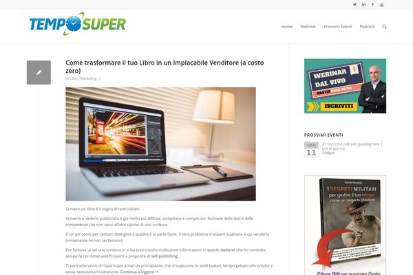 WordPress website example screenshot