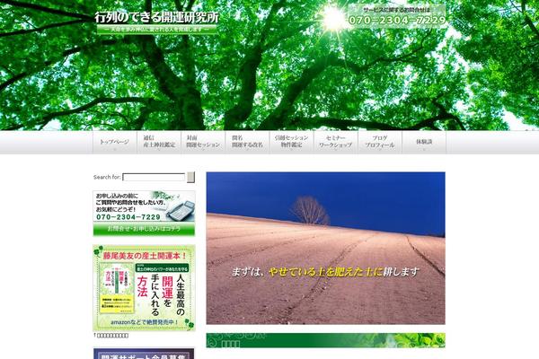 Site using Japanese-font-for-tinymce plugin