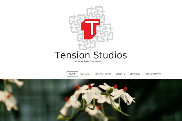 Site using Flash Video Player plugin