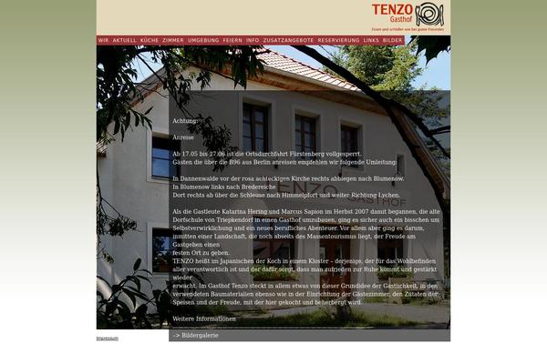 tenzo theme websites examples