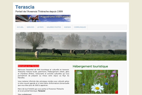 terascia.com site used Terascia-hueman-pro