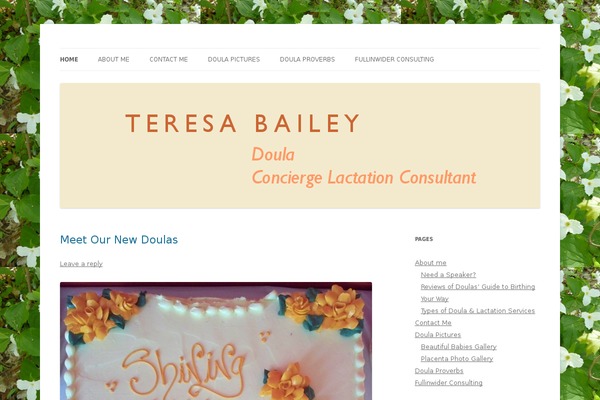 WordPress website example screenshot