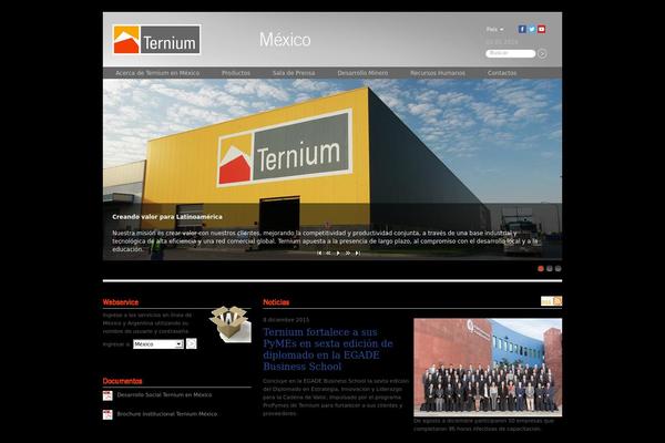 ternium theme websites examples