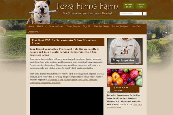 Terrafirma theme site design template sample