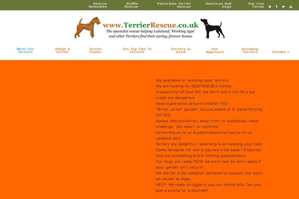 Divi theme site design template sample