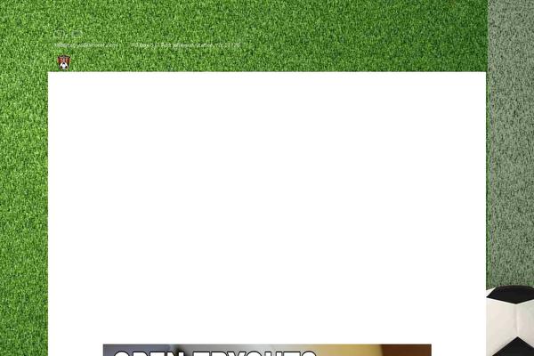terryvillesoccer.com site used Gotsport-template