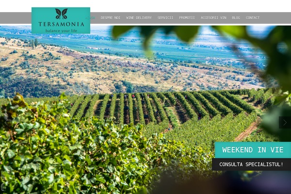 Food & Wine theme site design template sample