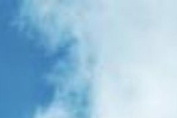 Site using Contact Form Maker plugin