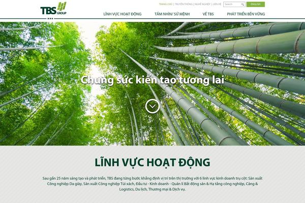 thaibinhshoes.com site used Tbs-group