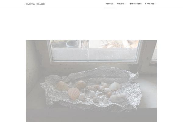 Photography theme site design template sample