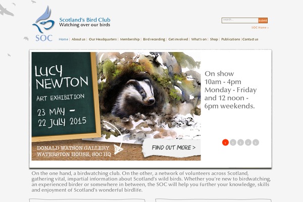 WordPress website example screenshot