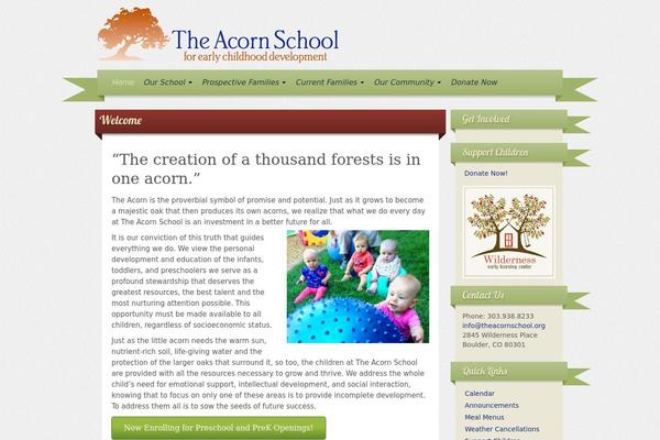 theacornschool.org site used Iribbon Pro 2