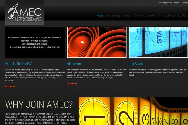 TheAmec theme websites examples