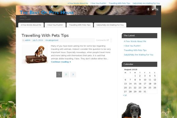 Mantra theme site design template sample