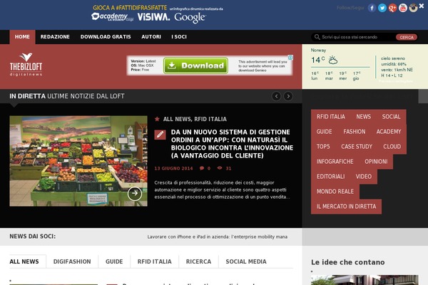 koala theme websites examples