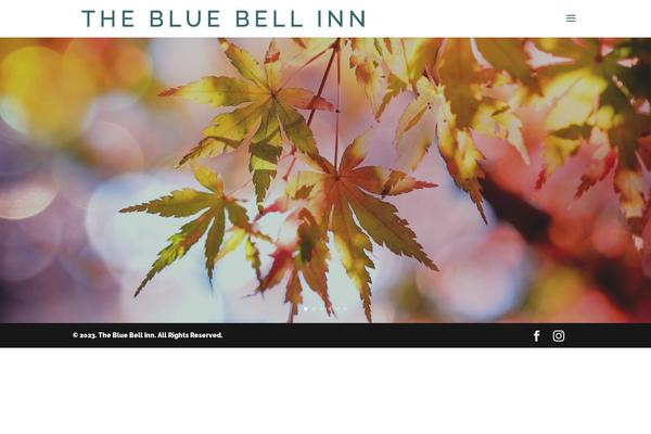 Divi theme site design template sample
