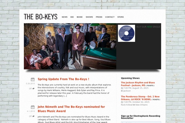 Twenty Fourteen theme site design template sample