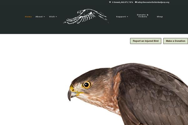 Divi theme site design template sample