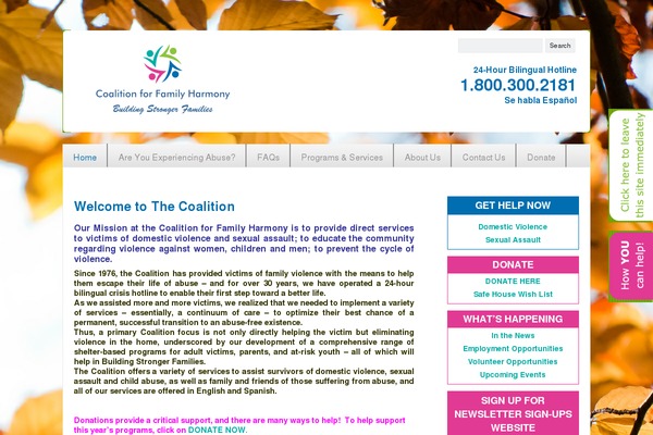 Bridge theme site design template sample