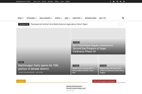 Newspaper theme site design template sample