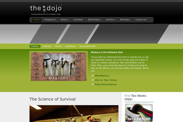 rt_nexus_wp theme websites examples