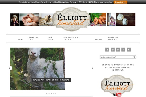 theelliotthomestead.com site used Elliott-homestead