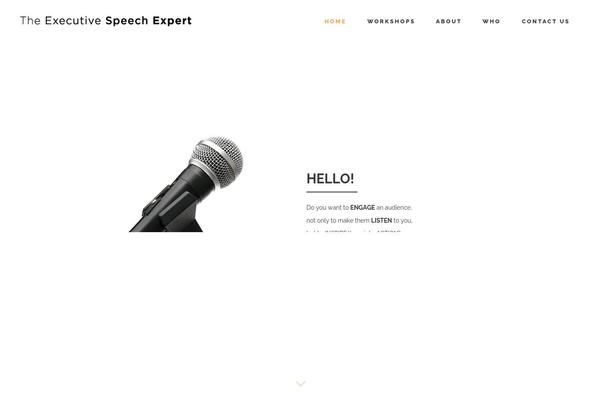 theexecutivespeechexpert.com site used The-executive-speech-expert