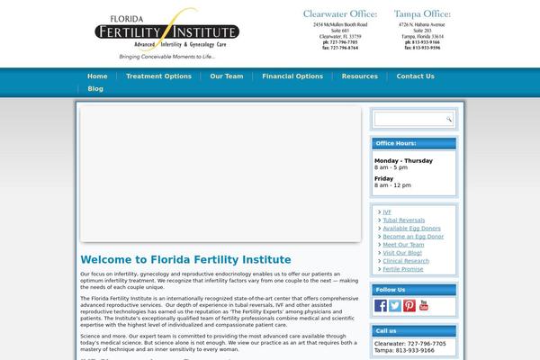 Site using Autoptimize plugin