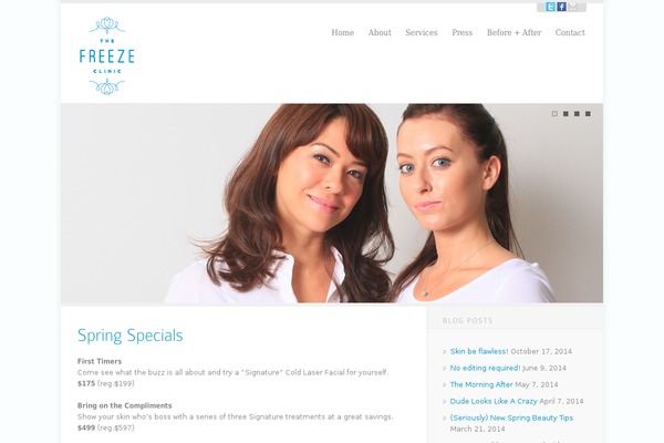 WordPress website example screenshot