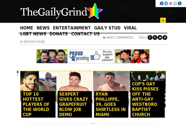 Newssetter Child theme websites examples