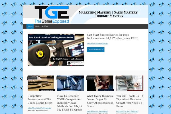 WordPress website example screenshot