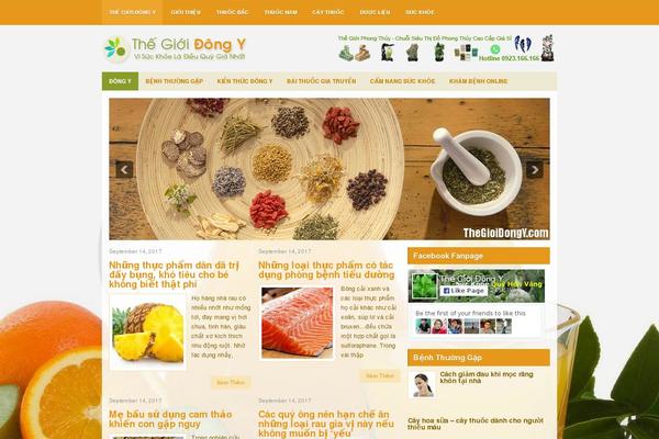 thegioidongy.com site used Foodness