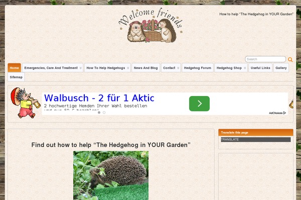Site using Wp-show-posts plugin