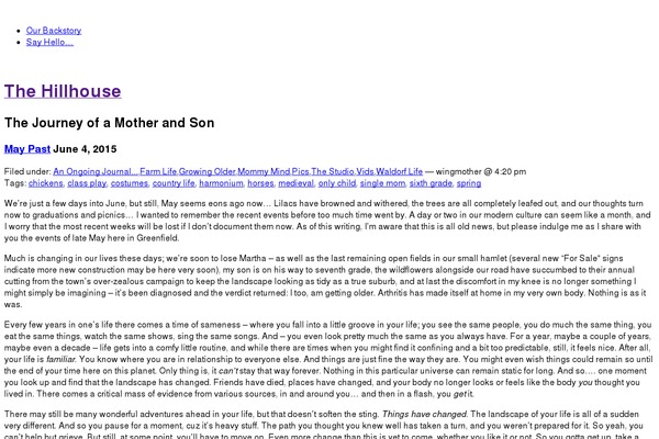 WordPress website example screenshot