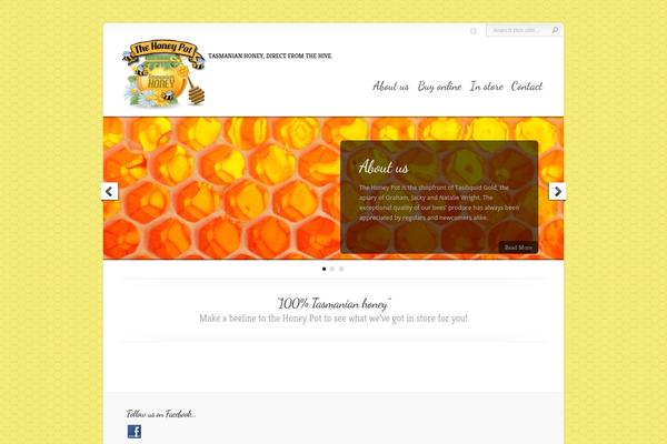 Chameleon theme site design template sample