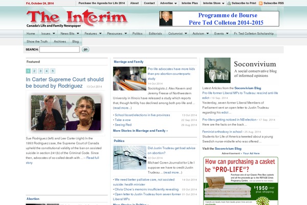 theinterim theme websites examples