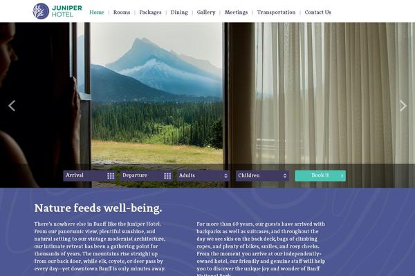 WordPress website example screenshot