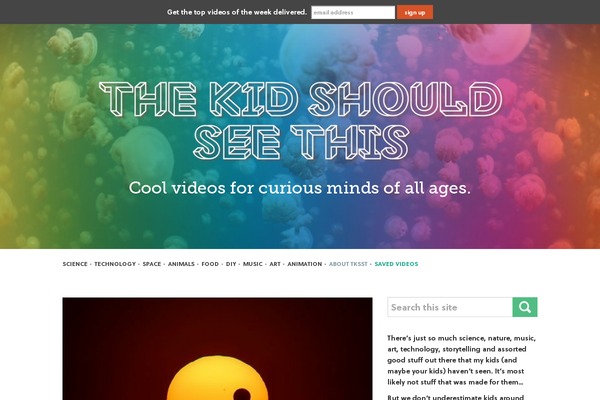 Pennews-child theme site design template sample