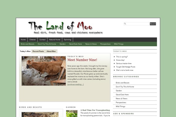 Extra theme site design template sample