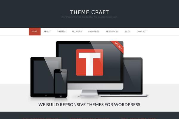 Developer WordPress theme, websites list used Developer theme Developer theme websites examples