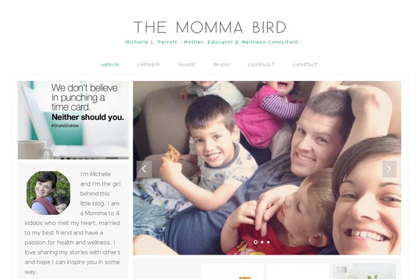 themommabird.com site used Fashionchic